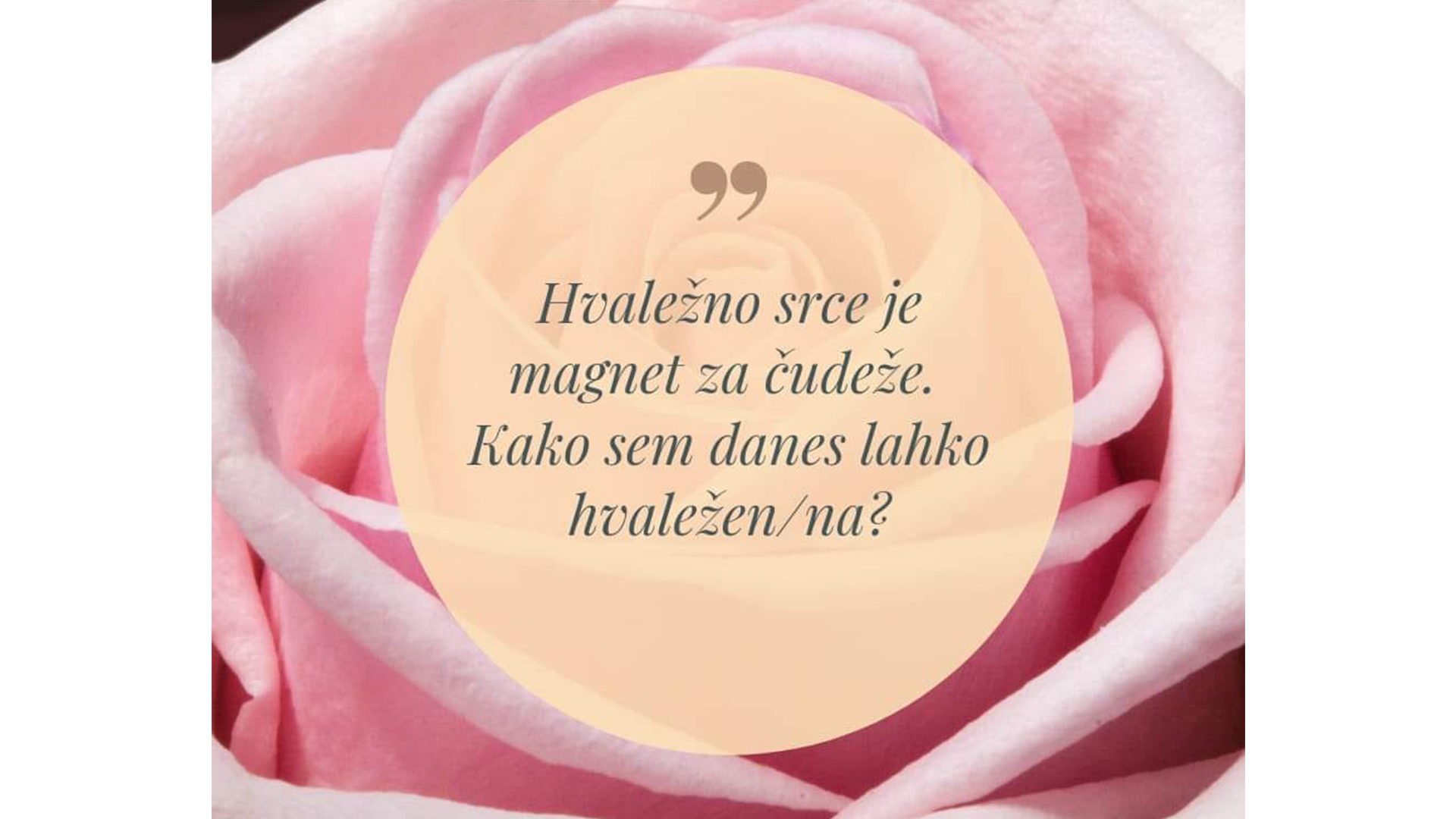 Hvaležnost